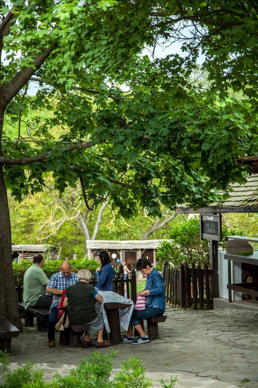 Hotel Hollokoeves Vendeghazak Zewnętrze zdjęcie